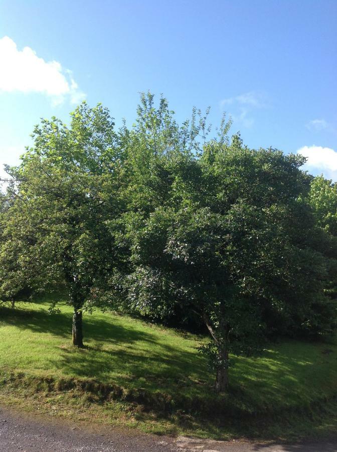 Cwmtwrch Cottage Carmarthen Esterno foto